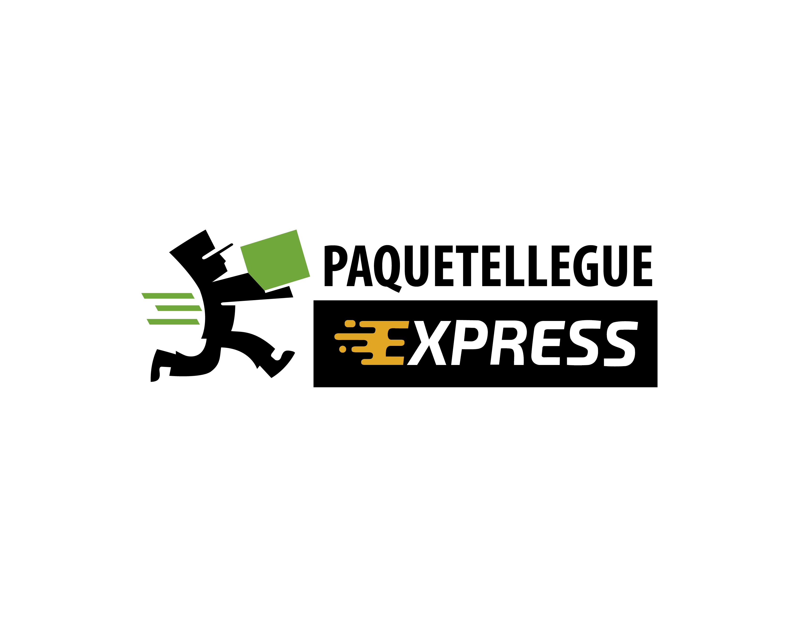 Logo de PAQUETELLEGUE EXPRESS